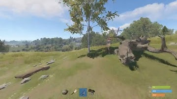 POV: you are prim locked on rust #shorts