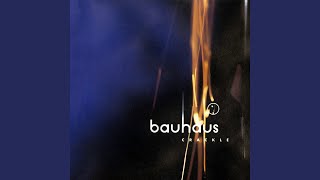 Video thumbnail of "Bauhaus - In the Flat Field (Remastered 2008)"