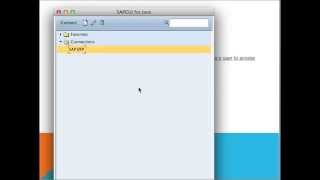 SAP Basics Login Logoff and Run transactions