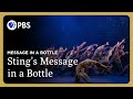 Zoonation dance performance to stings message in a bottle  message in a bottle  gp