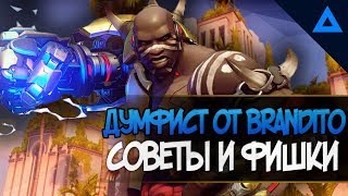ТОП 1 ДУМФИСТ - BRANDITO