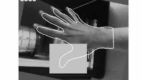 Prior Knowledge, Level Set Representations & Visual Grouping