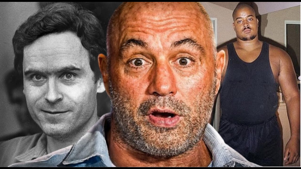 30 Minutes of Joe Rogan Stories to Fall Asleep To (Documentary) - YouTube