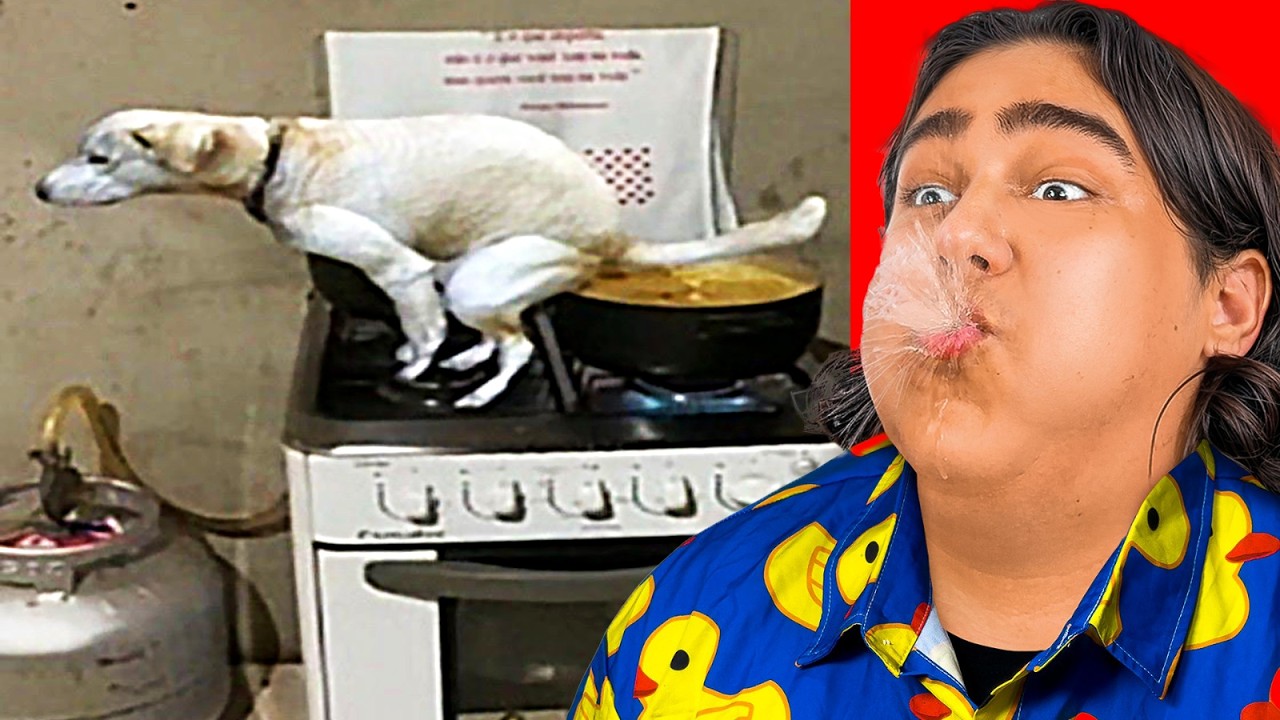 TENTE NÃO RIR: MEMES QUE VÃO TE PEGAR DE SURPRESA