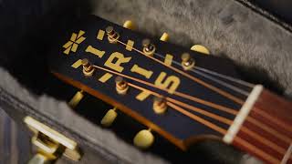 Iris Guitar CH Model All Moghony