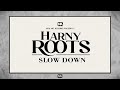 Harny roots  dub art makers  slow down