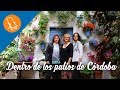La vida dentro de los Patios de Córdoba