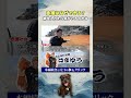 はまゆう先生!赤潮ができる理由ってなに!