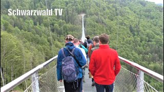 🎼🎤 Blackforestline Todtnau - Hommage an Karat - Über diese Brücke musst Du geh&#39;n