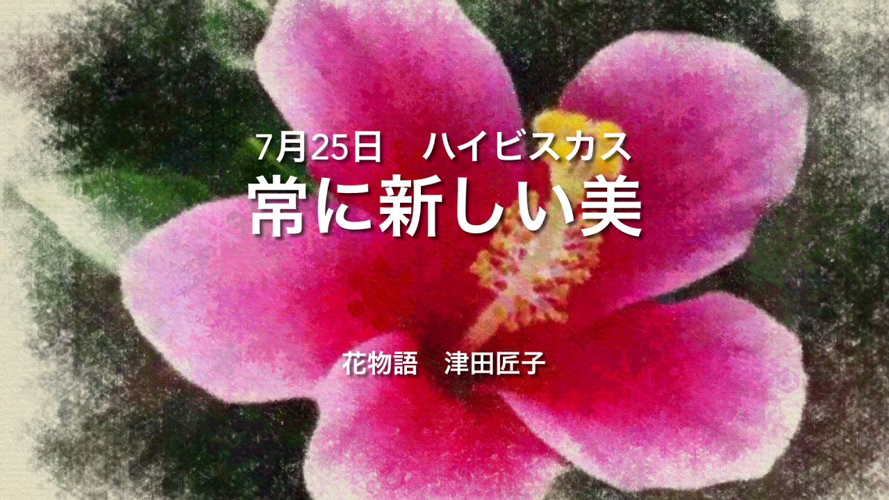 7月25日 誕生花 ハイビスカス Youtube