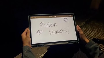 Explore the Structure & Function of Protein Domains