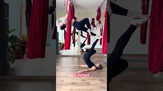 Fly Yoga 🧘🏼‍♀️ #flyyoga #flexibilidade #aerialfitness #aerial #aerialyoga #aerialhammock