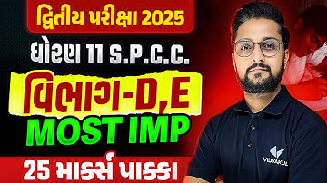 Std 11 SPCC દ્વિતીય પરીક્ષા Section D, E Most IMP | Dhoran 11 SPCC Exam IMP 2025 | Ketan Sir