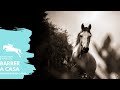 Barrer a casa || Equestrian Lyric Video