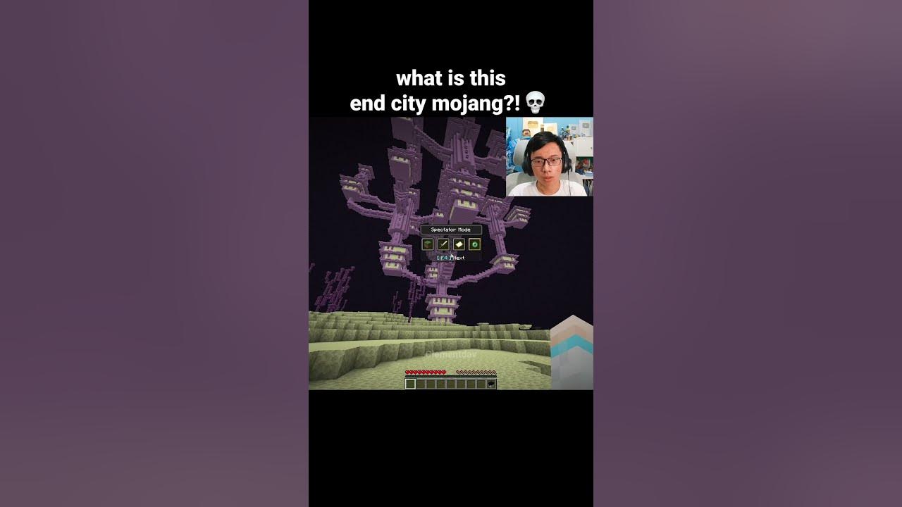 Minecraft End City Seed Moment