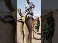 في لهيب الصحراء فكرة باردة ت غي ر كل شيء شاباش يا هاري