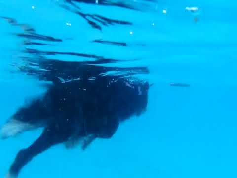 20170819　涸沼プール2