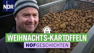 Überschwemmte Weiden & die letzte Kartoffelernte des Jahres | Hofgeschichten (160) | NDR auf’m Land