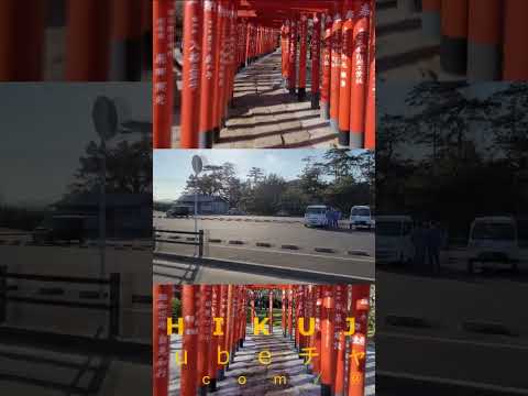 temple tsunashikitenmangu      綱敷天満宮               ♫ THE COBRAS - GOOD BYE MOLLY
