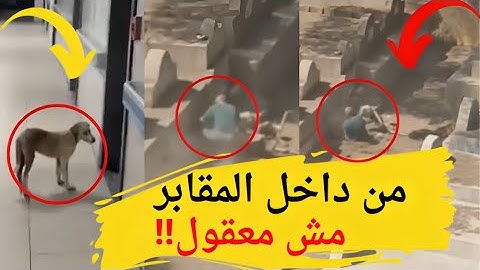 بالفيديو حارس المقابر يفتح قــ ـبــ ـور الصدقه ويخرج الامـــ ـوات والسبب غريب #يوميات_عبده