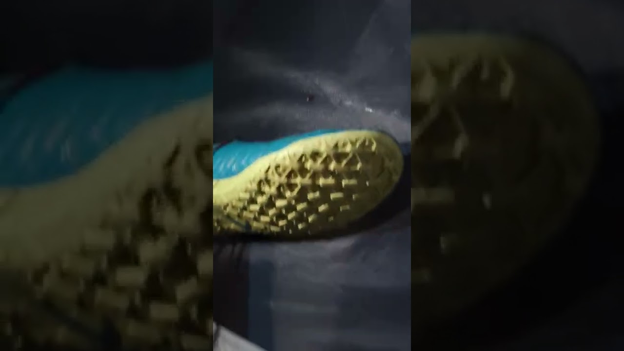 hunting bugs at 3am at latitude