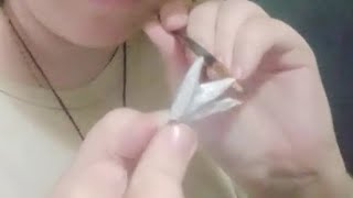 Pollito de pompones parte 4/6