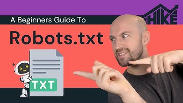 Robots.txt File: A Beginner