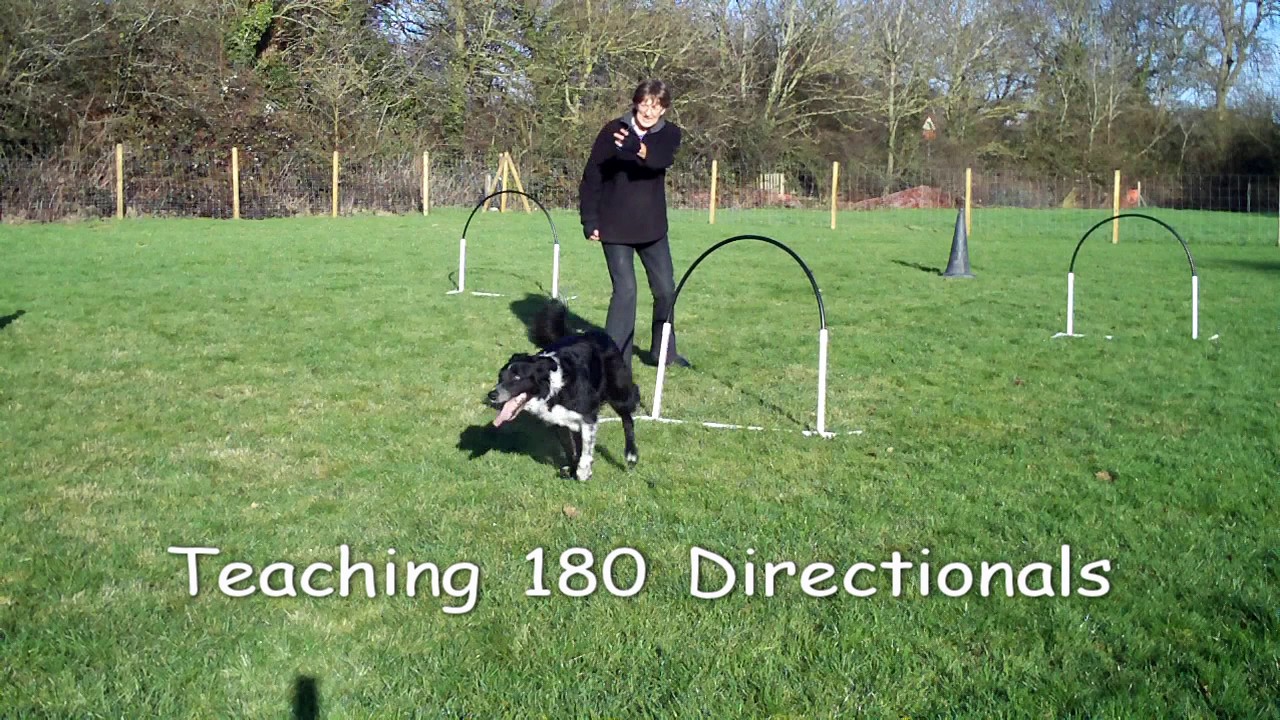 Hoopers Foundation Games 1