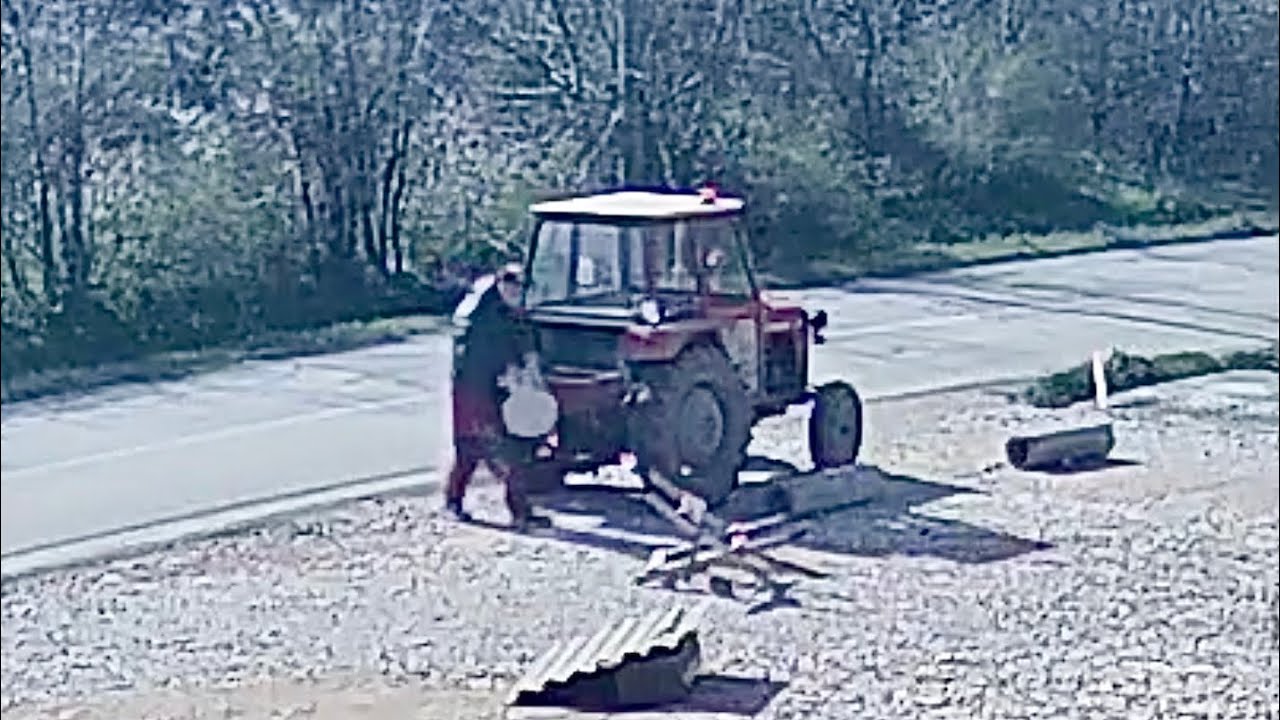 Puppies Thrown Away Like Trash Found a Loving Home | Rescue & Adoption