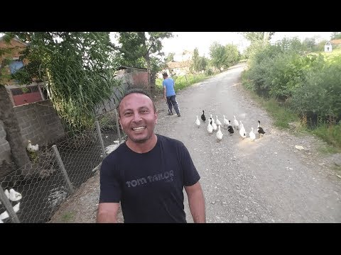 Ali Baba´nın Bir Çiftliği Var -  Komik Hayvanlar Belgeselim -  Samsun-Bafra-Harız Köyü