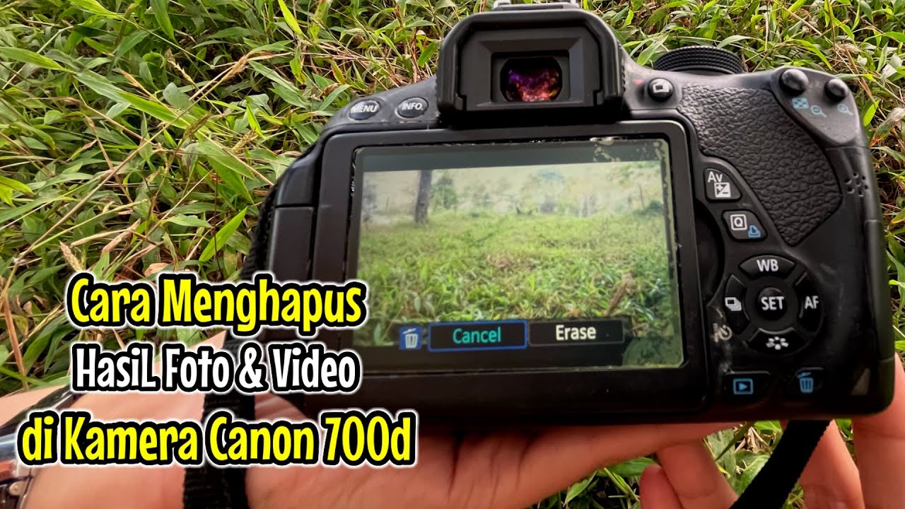 BDSM porno onlayn bezorilik Qisqa jinsiy aloqa porno videolar 3qp