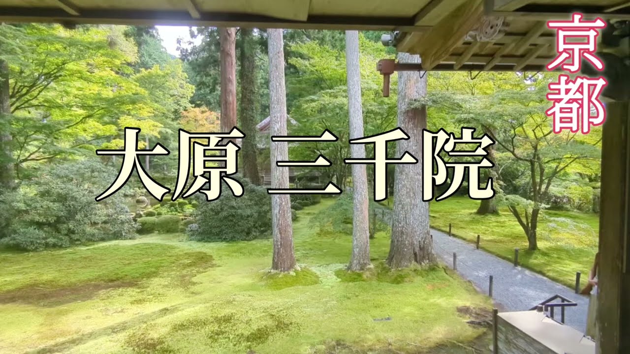 京都の大原三千院がグラビアの撮影会場になってた Kyoto Ohara
