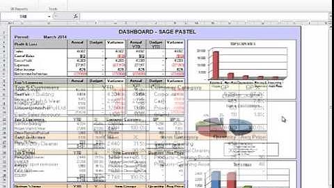 Sage BIC Overview Video