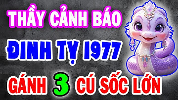 [LỜI TIÊN TRI KHẨN] Đinh Tỵ 1977: 3 Cửa Hạn Trời Định Trước Tết 2026, Biết Sớm Để Tránh Đại Họa
