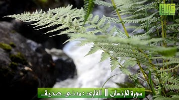 سورة الإنسان || القارئ : مدني صديق | 1438هـ