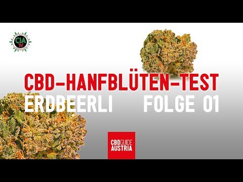 CBD-Hanfblüten-Test "ERDBEERLI" / Folge 01