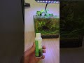 You need this plant fertilizer for better growth