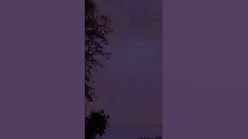 Bones - Untitled Snippet (October 1)