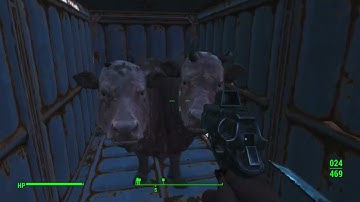 modded playthrough Fallout 4 2023 part 21 furry addition |unedited| |no commentary|