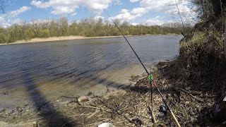 Рыбалка на фидер в апреле.река Северский донец