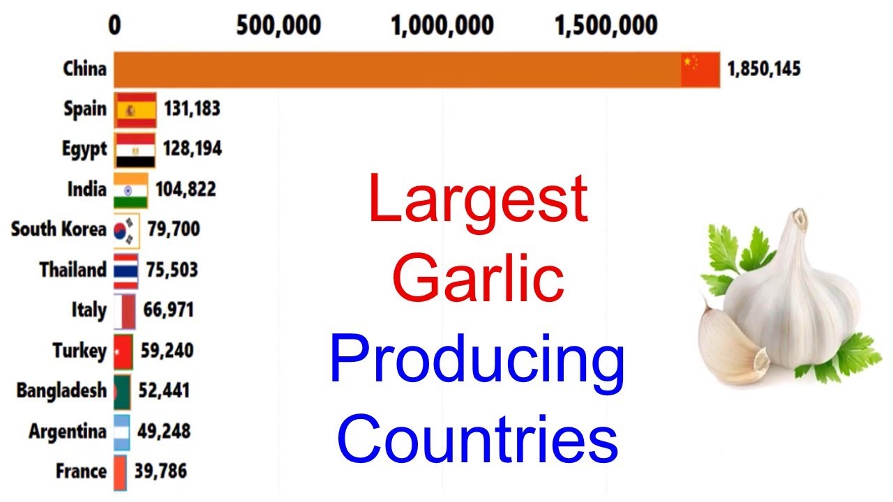 Top 10 Garlic Producing Countries I World's Largest Garlic Producing