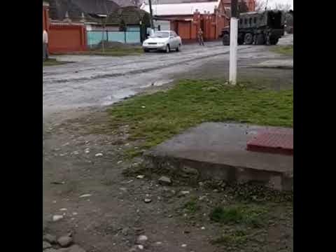 Барах чемурзиев