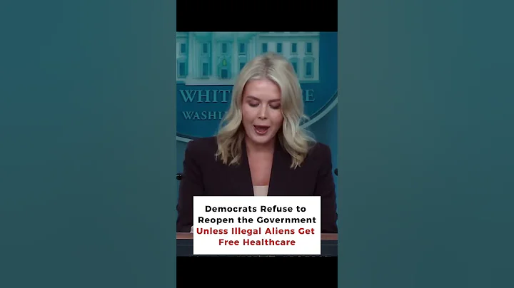 Democrats Refuse to Reopen the Government Unless Illegal Aliens Get Free Healthcare! #shorts