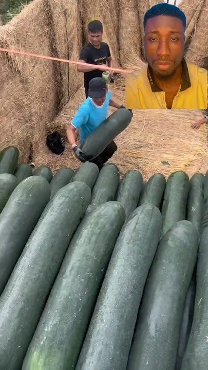 unbelievable scene 😨 #fypシ #cucumber #unbelievable