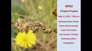 Northwest Native Garden Plants and the Amazing Insects They Attract with Amy Campion