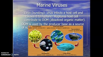 The Microbial World Part 1