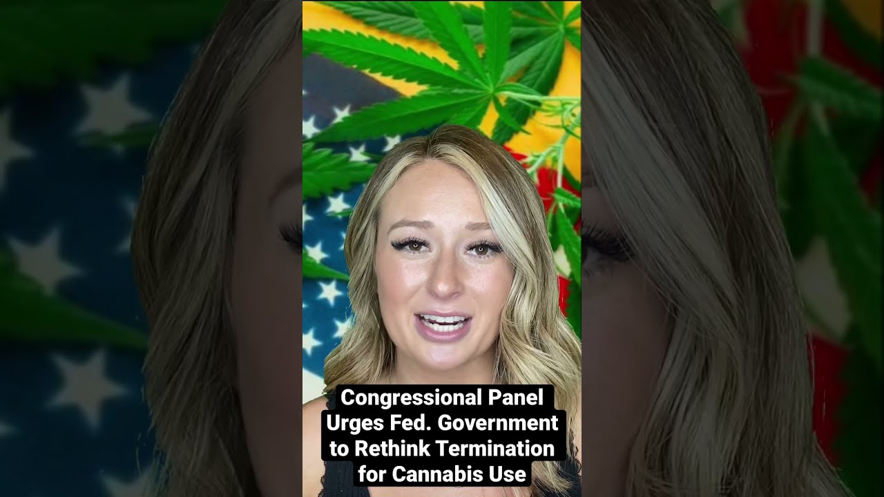 Cannabis News Us Congressional Panel Urges Fed Government To Rethink Termination For Cannabis 