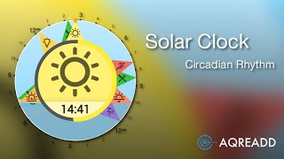Solar Clock: Circadian Rhythm for android screenshot 3