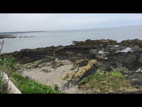 Video: White Sea Skerries - Alternative View