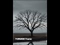 YURIAGE Frame / Making #original #anime #jpop